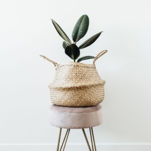 minimalist planter on a stool